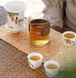 Дорожній набір посуду "Фенікс в імператорському саду" для чайної церемонії та медитації, Китай id_9060 фото 2