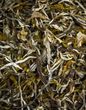 Китайський чай зелений з жасмином Молі Хуа Ча 2022 рік 50г